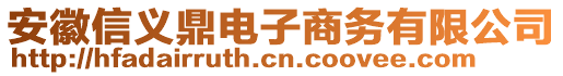 安徽信義鼎電子商務(wù)有限公司