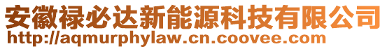 安徽祿必達(dá)新能源科技有限公司