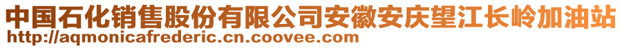 中國石化銷售股份有限公司安徽安慶望江長嶺加油站