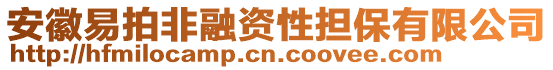 安徽易拍非融資性擔(dān)保有限公司