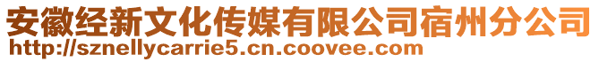 安徽經(jīng)新文化傳媒有限公司宿州分公司