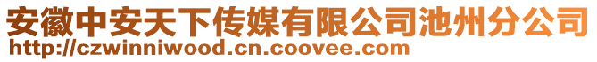 安徽中安天下傳媒有限公司池州分公司