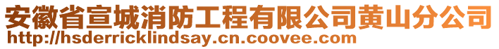 安徽省宣城消防工程有限公司黃山分公司