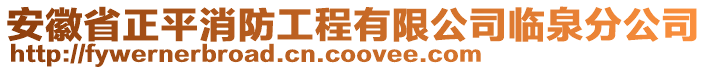 安徽省正平消防工程有限公司臨泉分公司