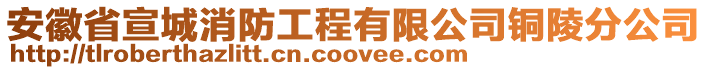 安徽省宣城消防工程有限公司銅陵分公司