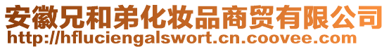 安徽兄和弟化妝品商貿(mào)有限公司