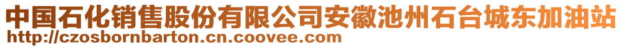 中國石化銷售股份有限公司安徽池州石臺城東加油站