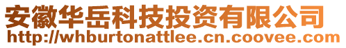 安徽華岳科技投資有限公司