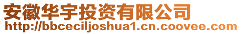 安徽華宇投資有限公司