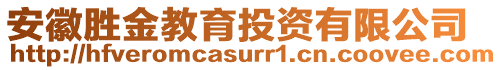 安徽勝金教育投資有限公司