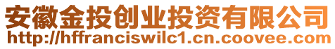 安徽金投創(chuàng)業(yè)投資有限公司