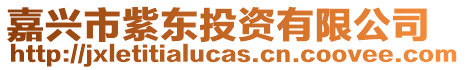 嘉興市紫東投資有限公司