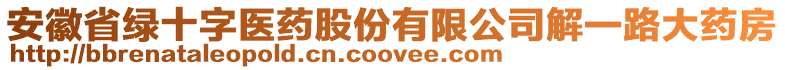 安徽省綠十字醫(yī)藥股份有限公司解一路大藥房