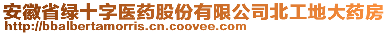 安徽省綠十字醫(yī)藥股份有限公司北工地大藥房