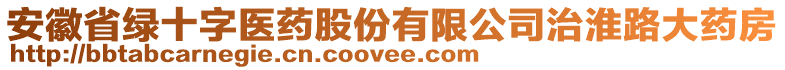 安徽省綠十字醫(yī)藥股份有限公司治淮路大藥房