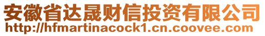 安徽省達(dá)晟財(cái)信投資有限公司