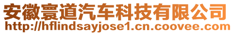 安徽寰道汽車科技有限公司