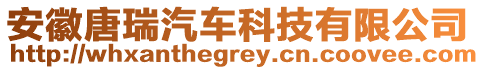 安徽唐瑞汽車科技有限公司