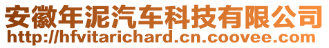 安徽年泥汽車科技有限公司