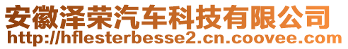 安徽澤榮汽車科技有限公司