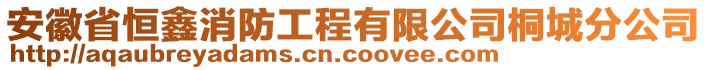 安徽省恒鑫消防工程有限公司桐城分公司