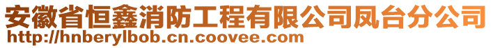 安徽省恒鑫消防工程有限公司鳳臺(tái)分公司