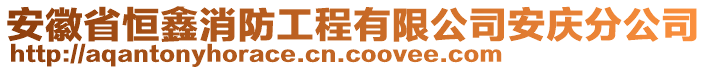 安徽省恒鑫消防工程有限公司安慶分公司