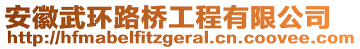 安徽武環(huán)路橋工程有限公司