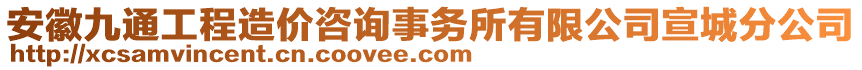 安徽九通工程造價(jià)咨詢事務(wù)所有限公司宣城分公司