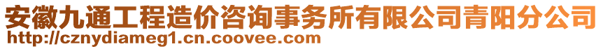 安徽九通工程造價(jià)咨詢事務(wù)所有限公司青陽分公司