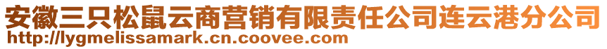 安徽三只松鼠云商營(yíng)銷有限責(zé)任公司連云港分公司