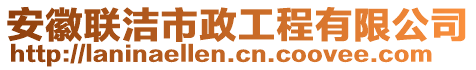 安徽联洁市政工程有限公司