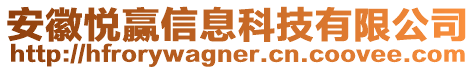 安徽悦赢信息科技有限公司