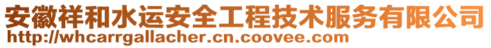 安徽祥和水运安全工程技术服务有限公司