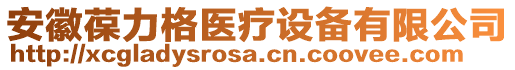 安徽葆力格醫(yī)療設(shè)備有限公司