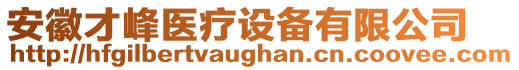 安徽才峰醫(yī)療設(shè)備有限公司