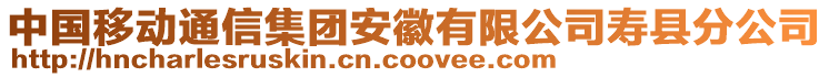 中國(guó)移動(dòng)通信集團(tuán)安徽有限公司壽縣分公司