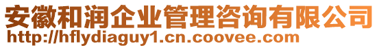 安徽和潤企業(yè)管理咨詢有限公司