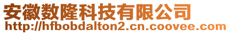 安徽數(shù)隆科技有限公司