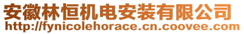 安徽林恒機(jī)電安裝有限公司