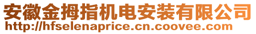 安徽金拇指機電安裝有限公司