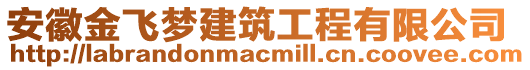 安徽金飛夢建筑工程有限公司