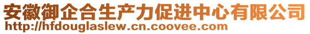 安徽御企合生產(chǎn)力促進(jìn)中心有限公司