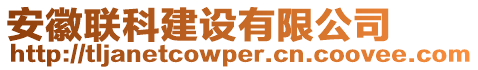 安徽聯(lián)科建設(shè)有限公司