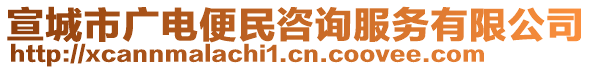 宣城市廣電便民咨詢服務(wù)有限公司