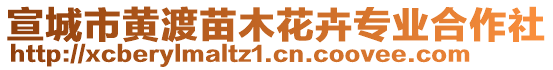 宣城市黃渡苗木花卉專業(yè)合作社