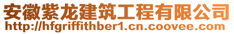 安徽紫龍建筑工程有限公司