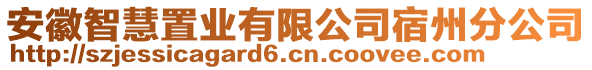 安徽智慧置業(yè)有限公司宿州分公司