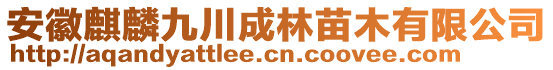 安徽麒麟九川成林苗木有限公司