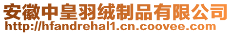 安徽中皇羽绒制品有限公司